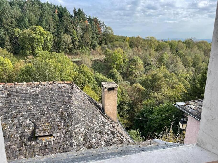 Maison De Village Avec Vue 4/5 Personnes Lou Rouchou Voutezac Dış mekan fotoğraf