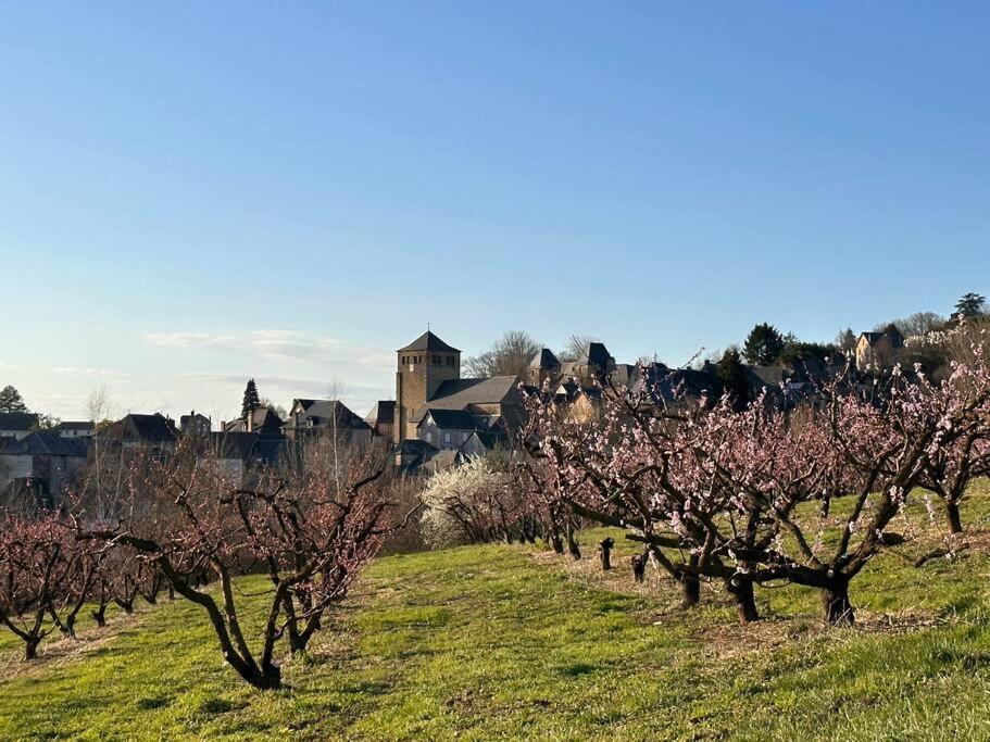 Maison De Village Avec Vue 4/5 Personnes Lou Rouchou Voutezac Dış mekan fotoğraf